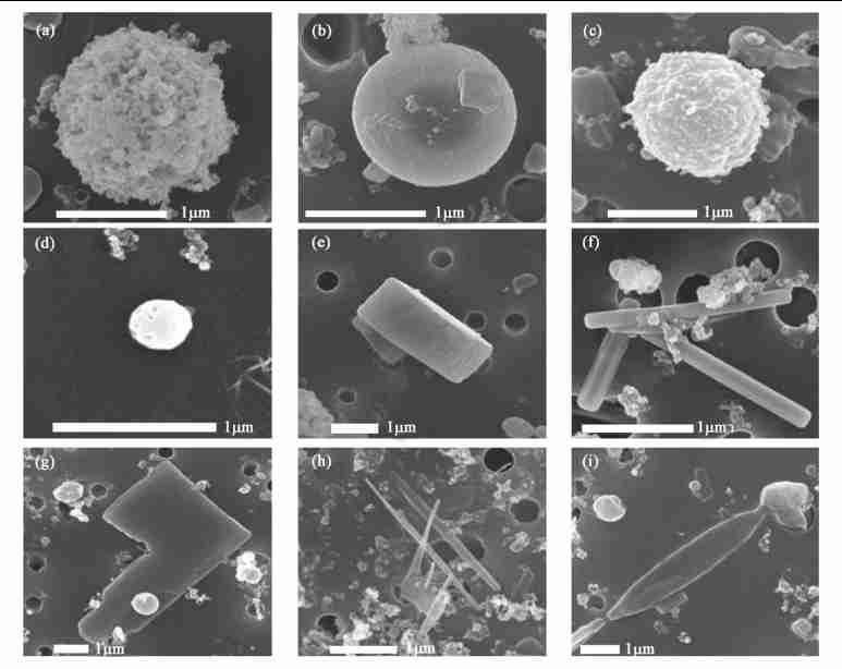 15342140435949.png 1.png